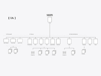 Scientific American IA architecture ia information science site