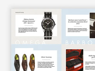 Magazine - Shopping page brochure magazine shopping watch