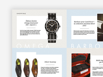 Magazine - Shopping page brochure magazine shopping watch