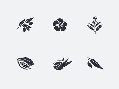 Ingredient Illustrations! cayenne cocoa butter geranium herbs illustration ingredients organic plants