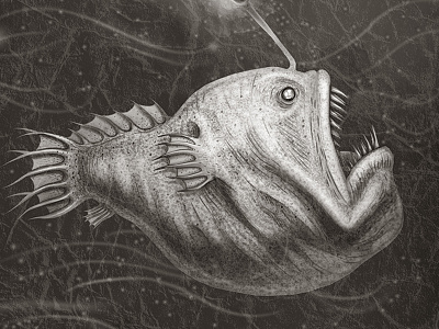 Anglerfish anglerfish animal species animals book illustration illustration