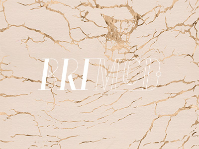 BriMcD Final brand element logo monogram photography branding photography logo