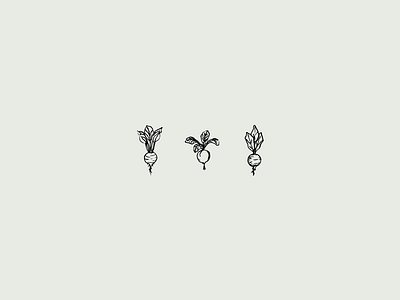 Three Little Beets beet drawing food icon illustration vegetable