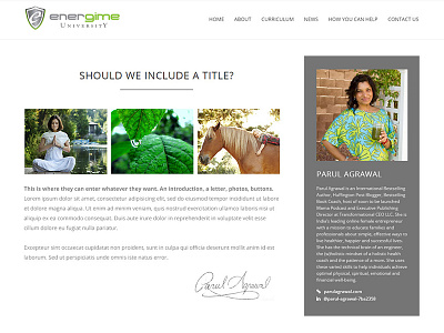 minimal bio section bio biographies blog bio blogging minimal renewable energy sterile