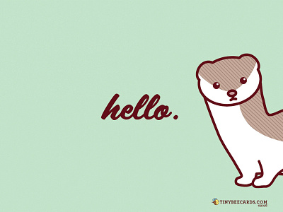 Free stoat wallpaper animal cute desktop pattern ermine free freebie funny hello iphone stoat wallpaper weasel