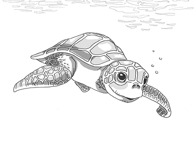 Sea Turtle black and white cute line art sea turtle water