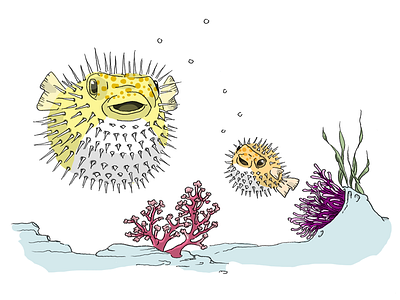 Puffer Fish fish line art puffer sea underwater water