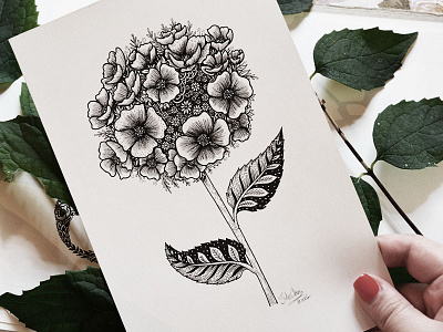 Floral Plant art botanical drawing hand drawn illustration ink lines nature pen plant sketch snail