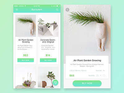 Succulent app app ui