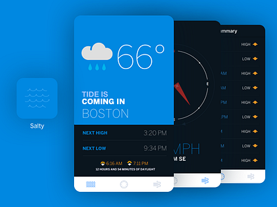 Salty Original icon ios ocean table tide wave weather wind