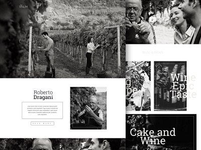 The Vinum blog clean minimal web website wordpress