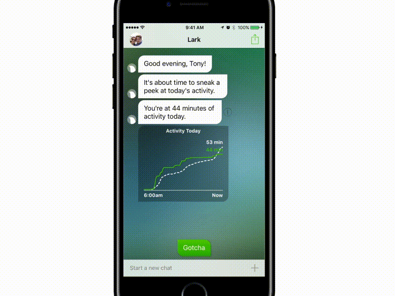 Lark Update bot chat conversation keyboard lark milestones new notes