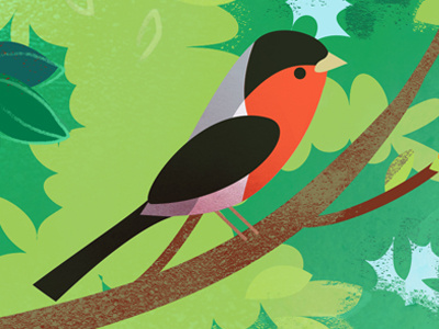 Bullfinch bird bright british bullfinch colourful finch graphics hedge hedgerow icon vector