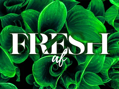 Daily UI- Fresh AF :) dribble dubai flat uae ui designer