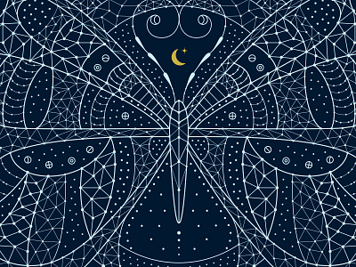 Space Butterfly butterfly cosmos detail insect lace line moon pattern space stars symmetry universe