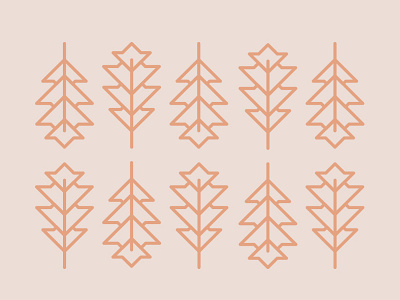 Leaf Pattern autumn fall icon leaf lines pattern