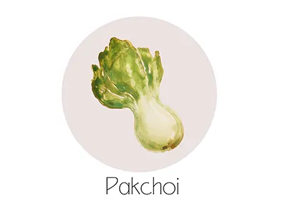 Pakchoi fruit icon painting watercolor