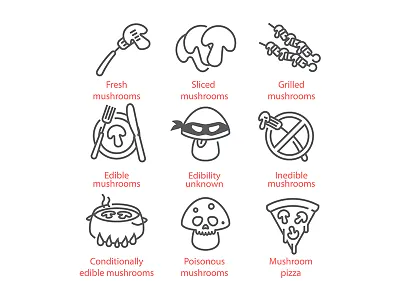 Mushroom icons food icon icon set mushroom