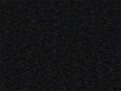 New York Script animation illustration neon new york nyc twin towers