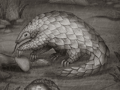 Pangolin anglerfish animal species animals book illustration illustration
