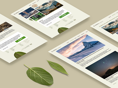 Green Foundation Case Study design eco foundation leaf natural nonprofit ui web webdesign