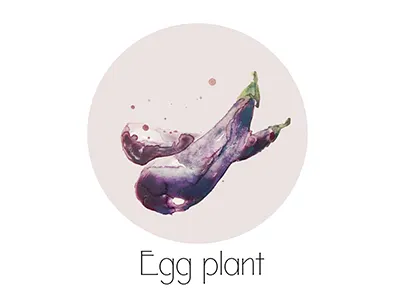 Eggplant fruit icon painting watercolor