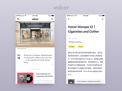 Typo setting app design article interface typo setting ui voicer