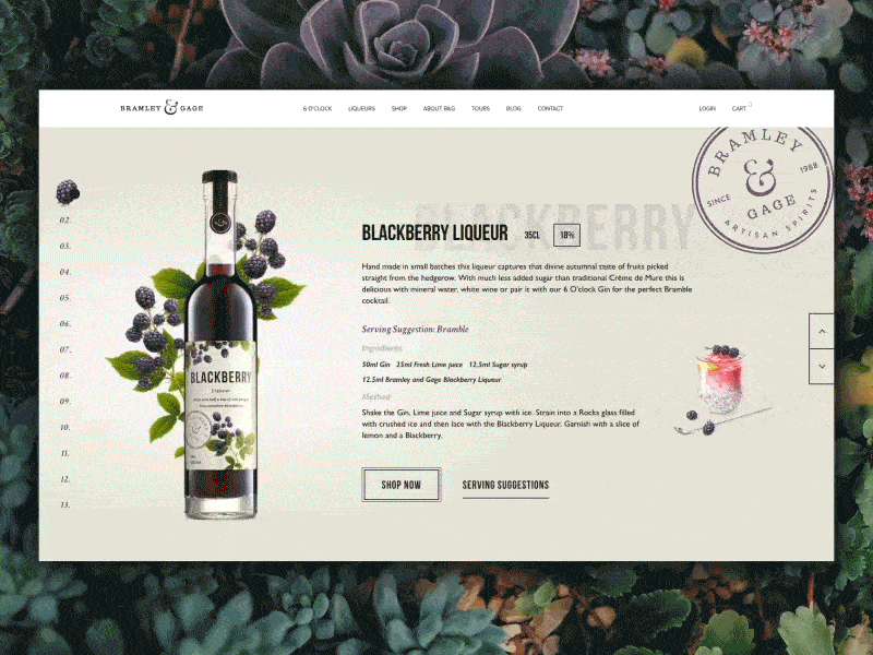 B&G Fruit Liqueurs Website badge bottle dashboard fruit homepage interactive landing nature packaging stamp ui website