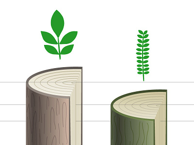 Appleton Trees Infographic infographic trees