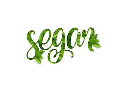 Segar Typework custom font lettering script typework typography vector