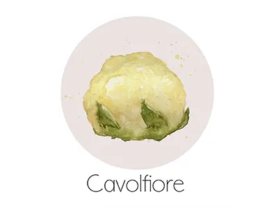 Cavolfiore fruit icon painting watercolor