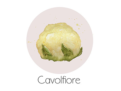 Cavolfiore fruit icon painting watercolor