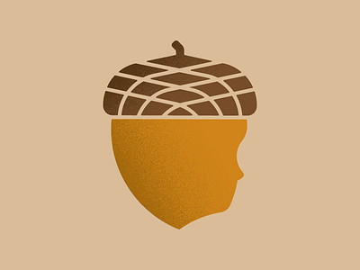 Acorn acorn brown child children fall gold growth oak seed