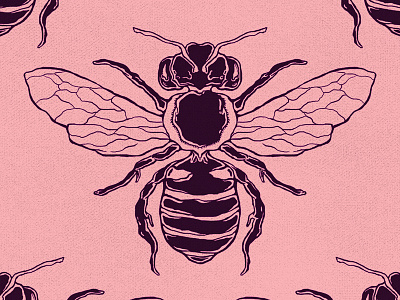Bee bee bzz detailed honey honeycomb insect logo wings
