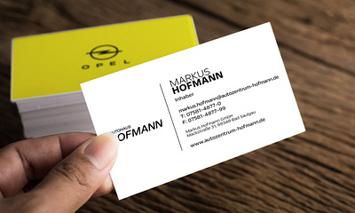 Professional Business Card branding design graphic design illustration logo