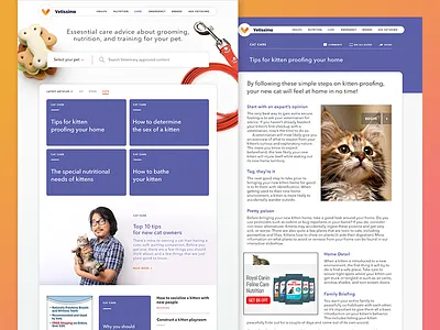 Vetissimo Care Category article category pets search ux veterinary web
