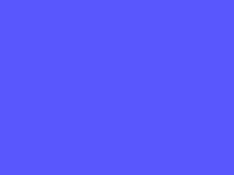 Spotful Logo Animation animation branding logo motion spotful transition