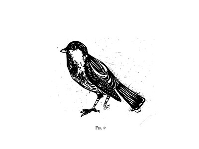 FIG.2: BROKEN SPARROW bandages birdies broken damaged fracture illustration leg legs misprint recovery shattered sparrow