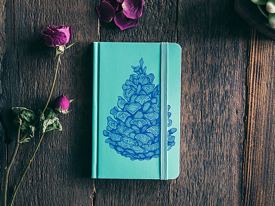 Pinecone art doodle nature notebook sketch