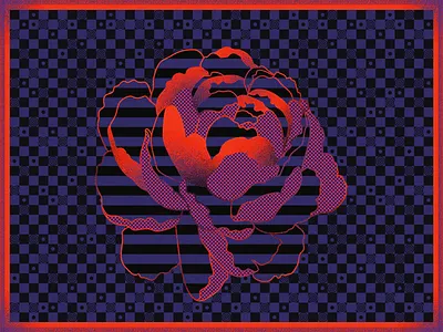 Crazy Flower Op Art checkers flower optical illusion pattern peony stripes texture vector