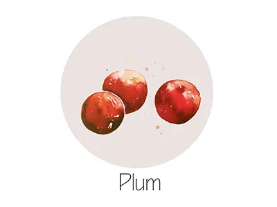 Plum fruit icon painting watercolor