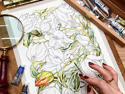 Tulips. Coloring page. adultcoloringbook botanical coloringbook tulips watercolor