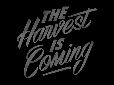 Harvest casual lettering script