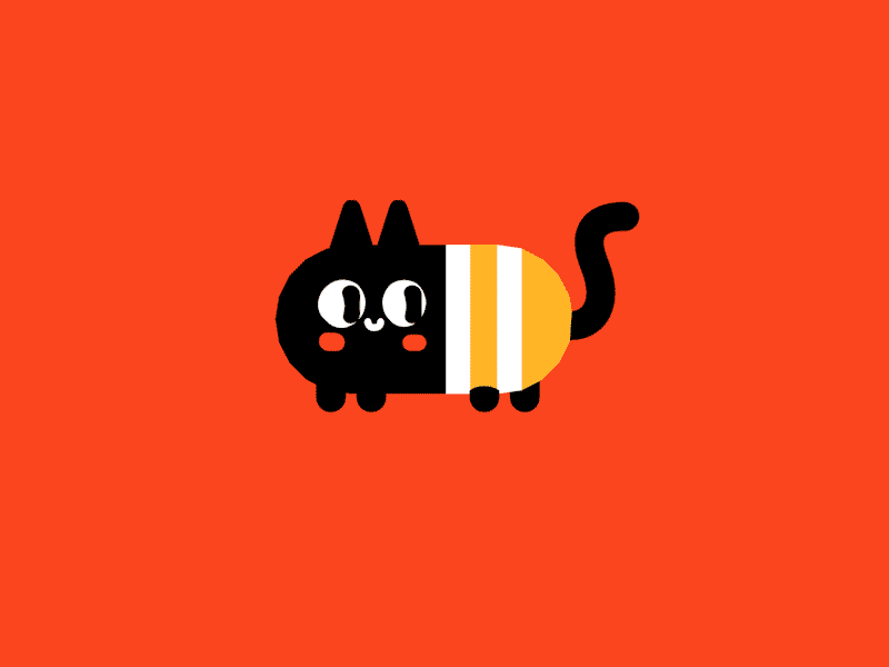 Cat in a sweater (Hey Hey Momo!) 3d cat cute gif happy momo sweater