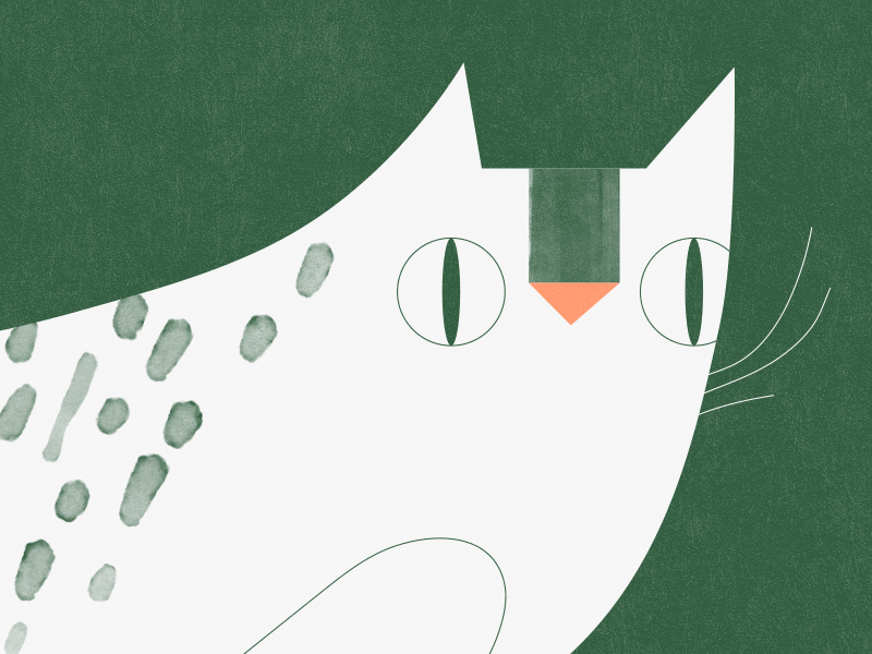 Cat Sketch animation cat gif illustration