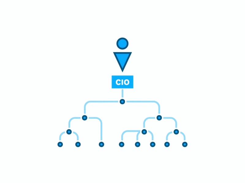 Hierarchy cio hierarchy ibm