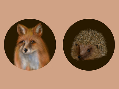 Woodland Creatures creatures fauna fox fur hedgehog nature red fox woodland