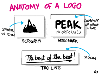 Anatomy of a Logo design illustration logo sketch