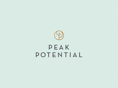 Peak Potential branding circle education identity logo spiral