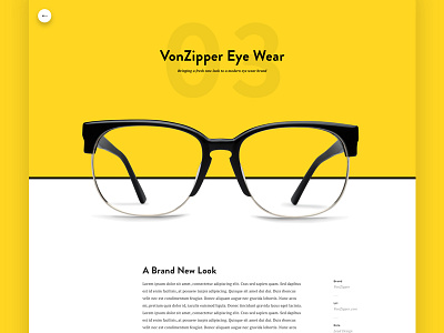 Portfolio Case Study - Vonzipper